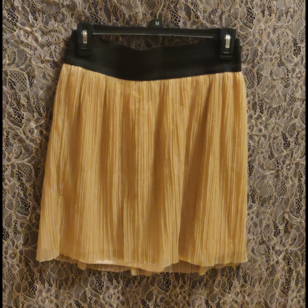 2b Bebe skirt